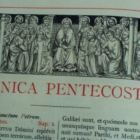 Imagen predeterminada