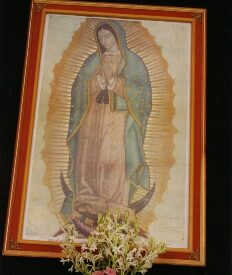 Imagen predeterminada
