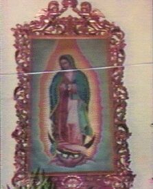 Imagen predeterminada