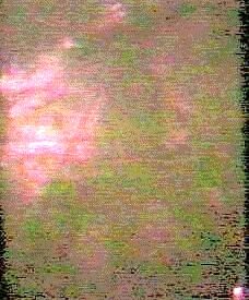 Imagen predeterminada