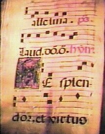 Imagen predeterminada