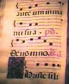 Imagen predeterminada