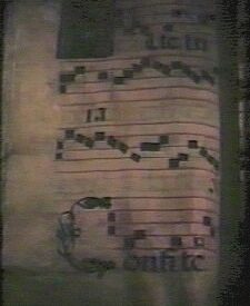 Imagen predeterminada