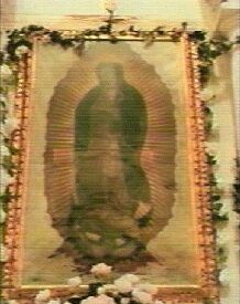 Imagen predeterminada