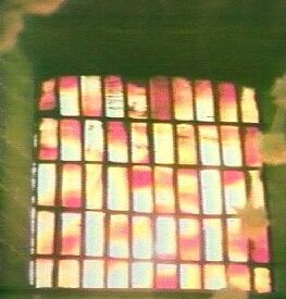 Imagen predeterminada