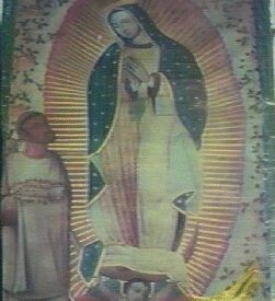 Imagen predeterminada