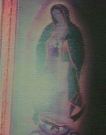 Imagen predeterminada